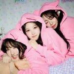 BTS, Lim Young Woong, and IVE Lead Singer Brand Reputation Rankings for December - SukaKpop.com - Kpop and Korean Drama Top News