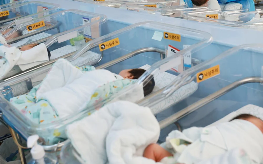 Mnet’s “Steal Heart Club” Launches New Korean-Japanese Idol Band hrtz.wav - SukaKpop.com - Kpop and Korean Drama Top News