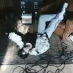 Song Hye Kyo Blooms on Harper’s Bazaar Korea January 2026 Covers with Timeless Elegance - SukaKpop.com - Kpop and Korean Drama Top News Song Hye Kyo Blooms on Harper’s Bazaar Korea January 2026 Covers with Timeless Elegance - SukaKpop.com - Kpop and Korean Drama Top News